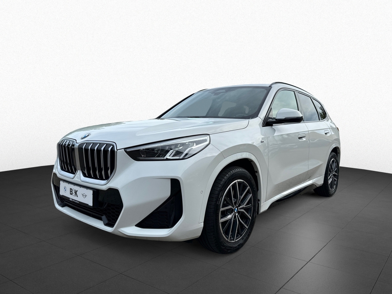 Bild 3 | BMW X1 sDrive20i M Sport AHK Navi HK PA Memory DAB LED