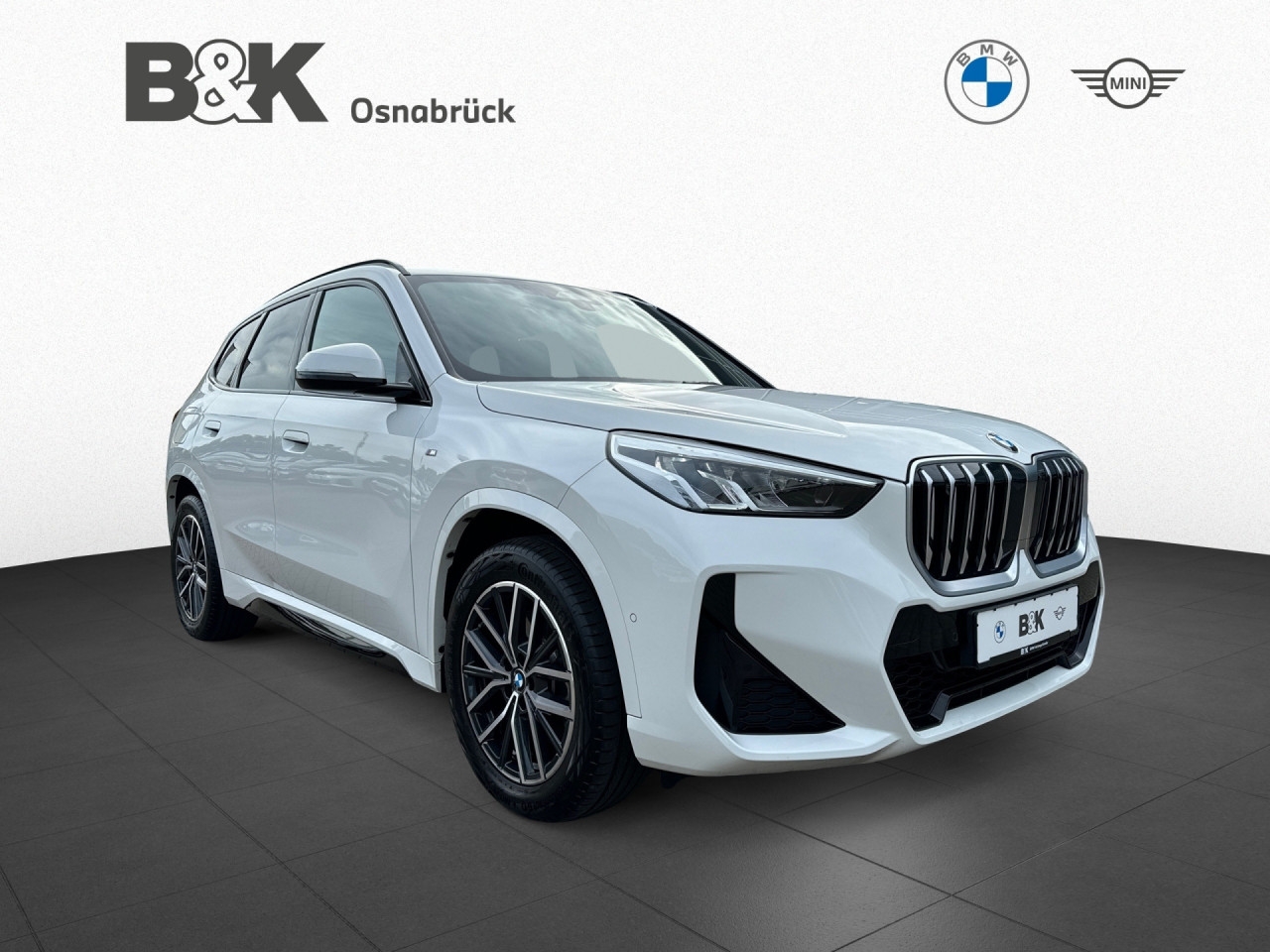 Bild 4 | BMW X1 sDrive20i M Sport AHK Navi HK PA Memory DAB LED